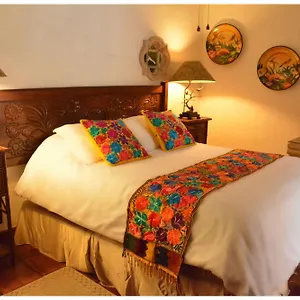 Collection O Casa Bella Boutique, Cabo San Lucas